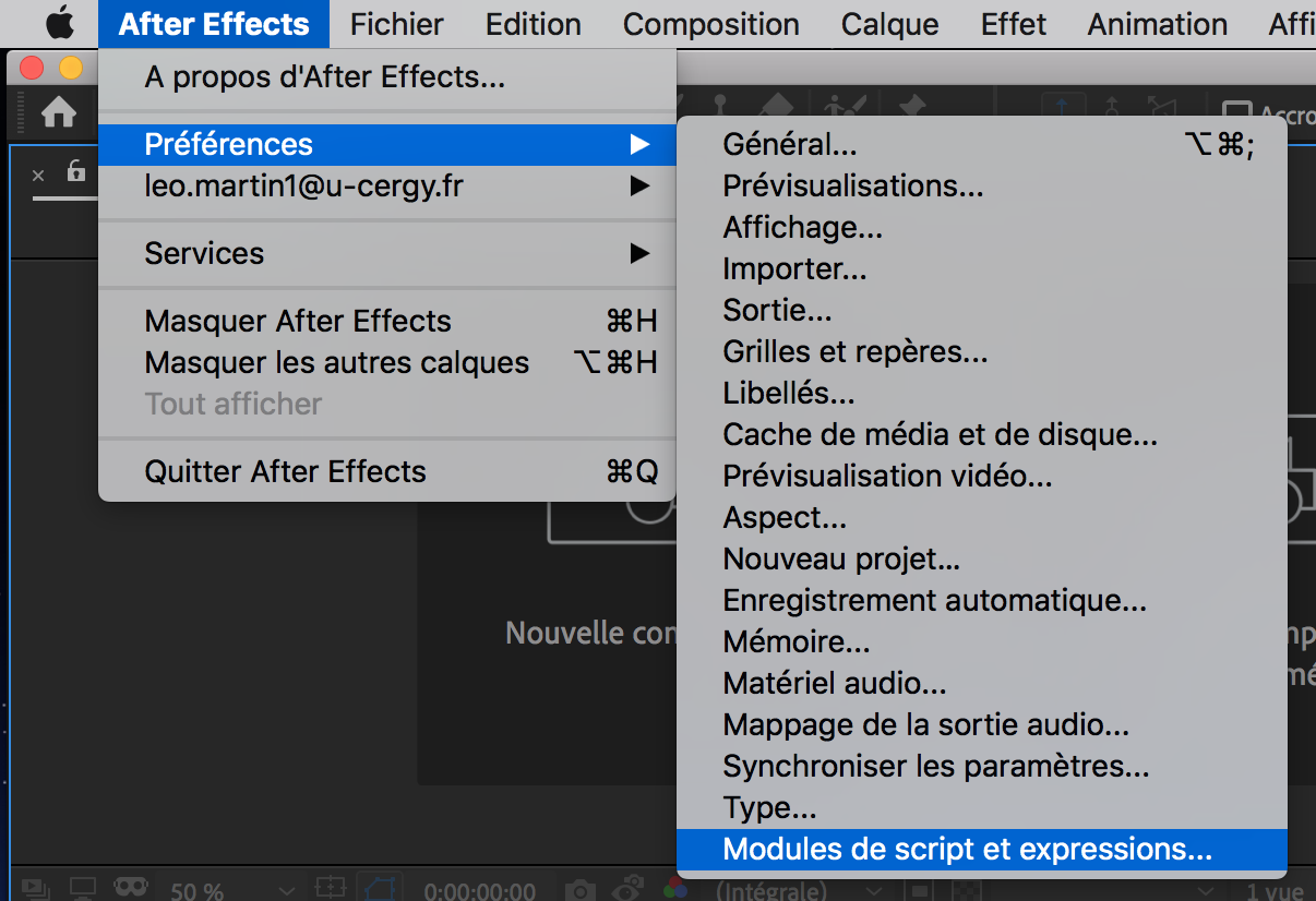 ../../_images/after-effects__preferences__module-de-script-et-expressions.png