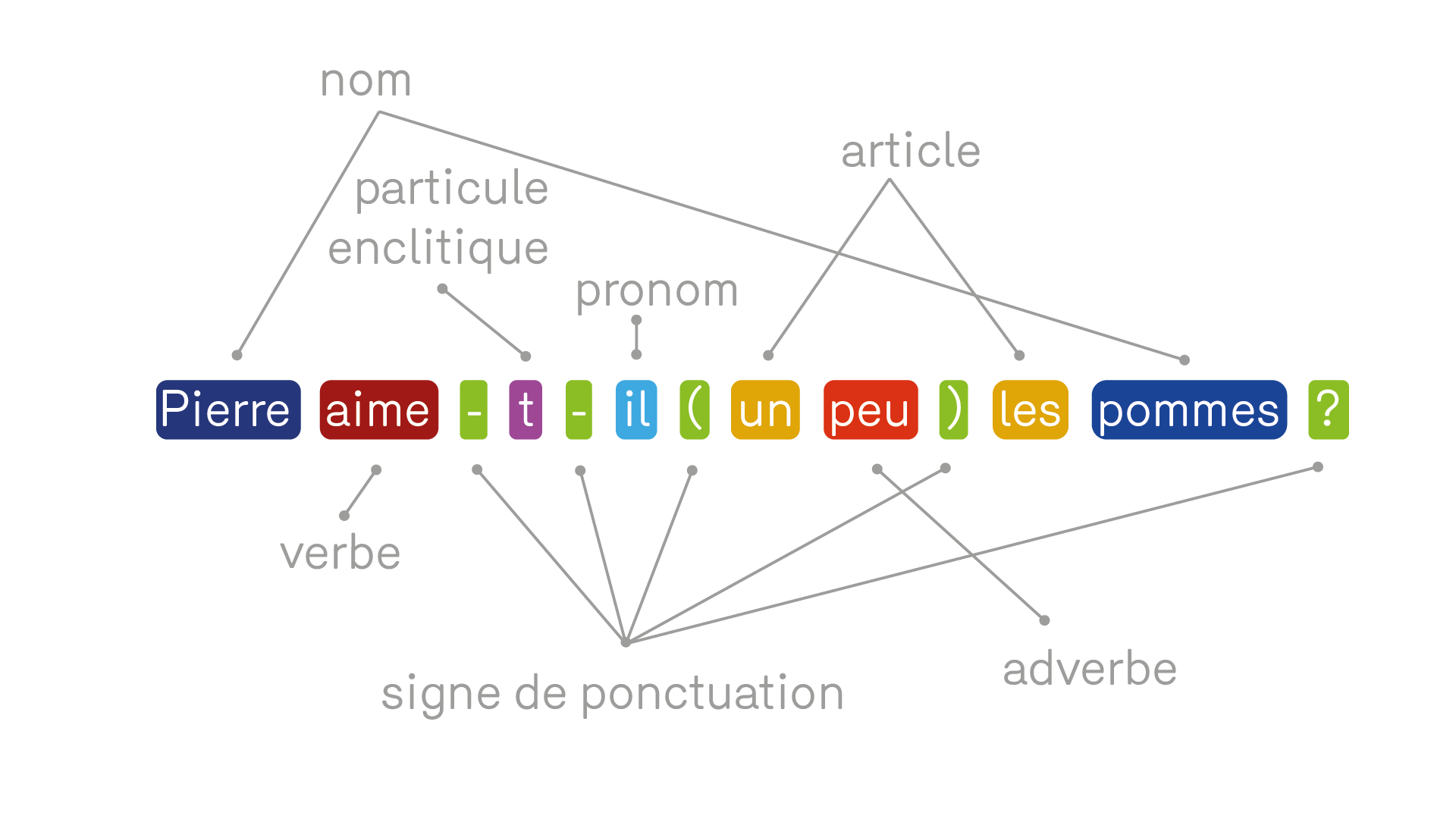 On peut catégoriser ces unités lexicales